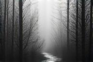 Fotografi Seni Halus